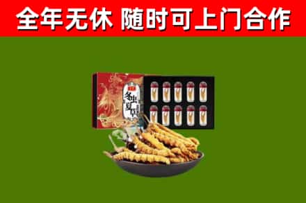 博山区回收冬虫夏草价格